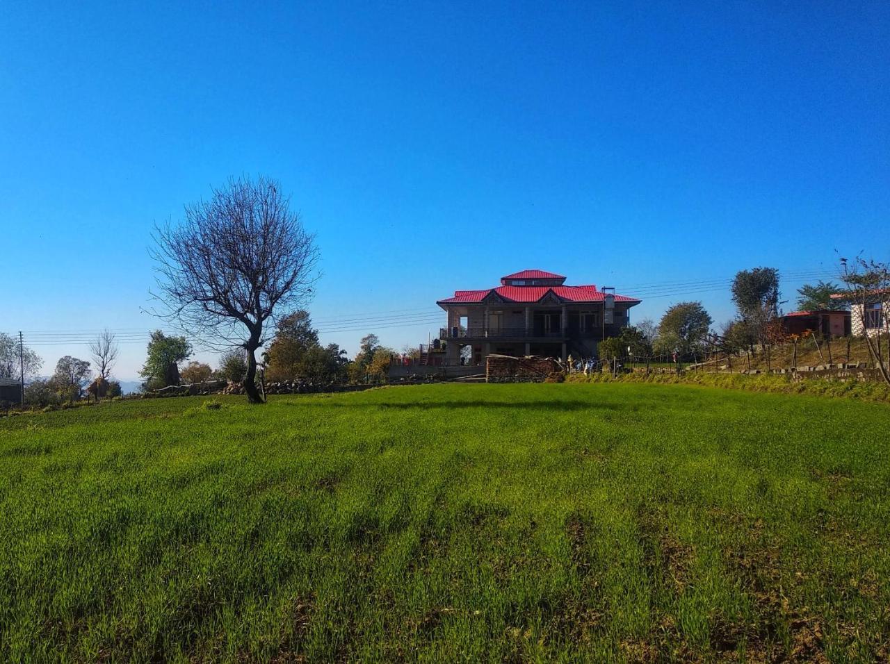 Bir Nest Ostello Esterno foto