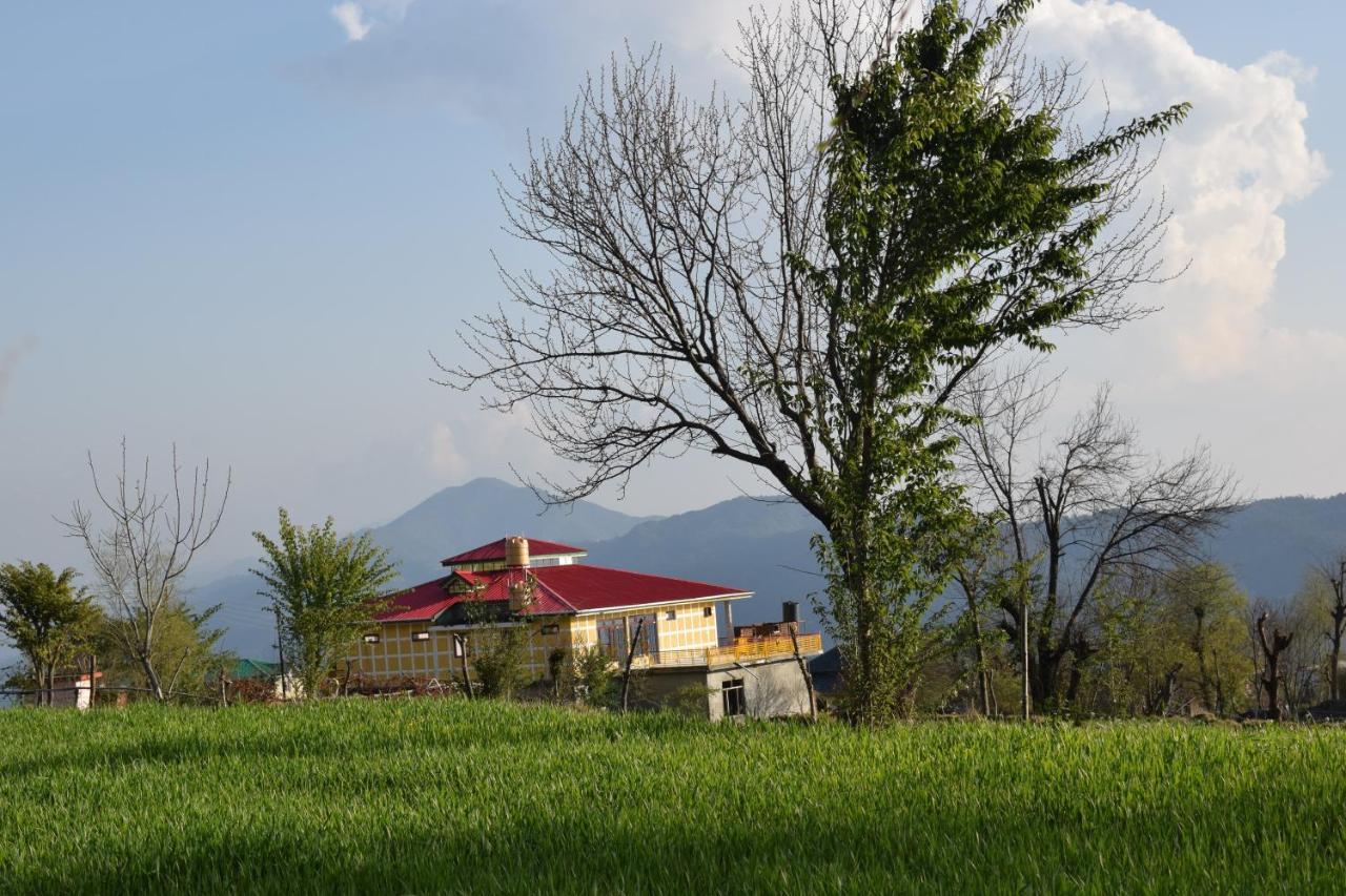 Bir Nest Ostello Esterno foto